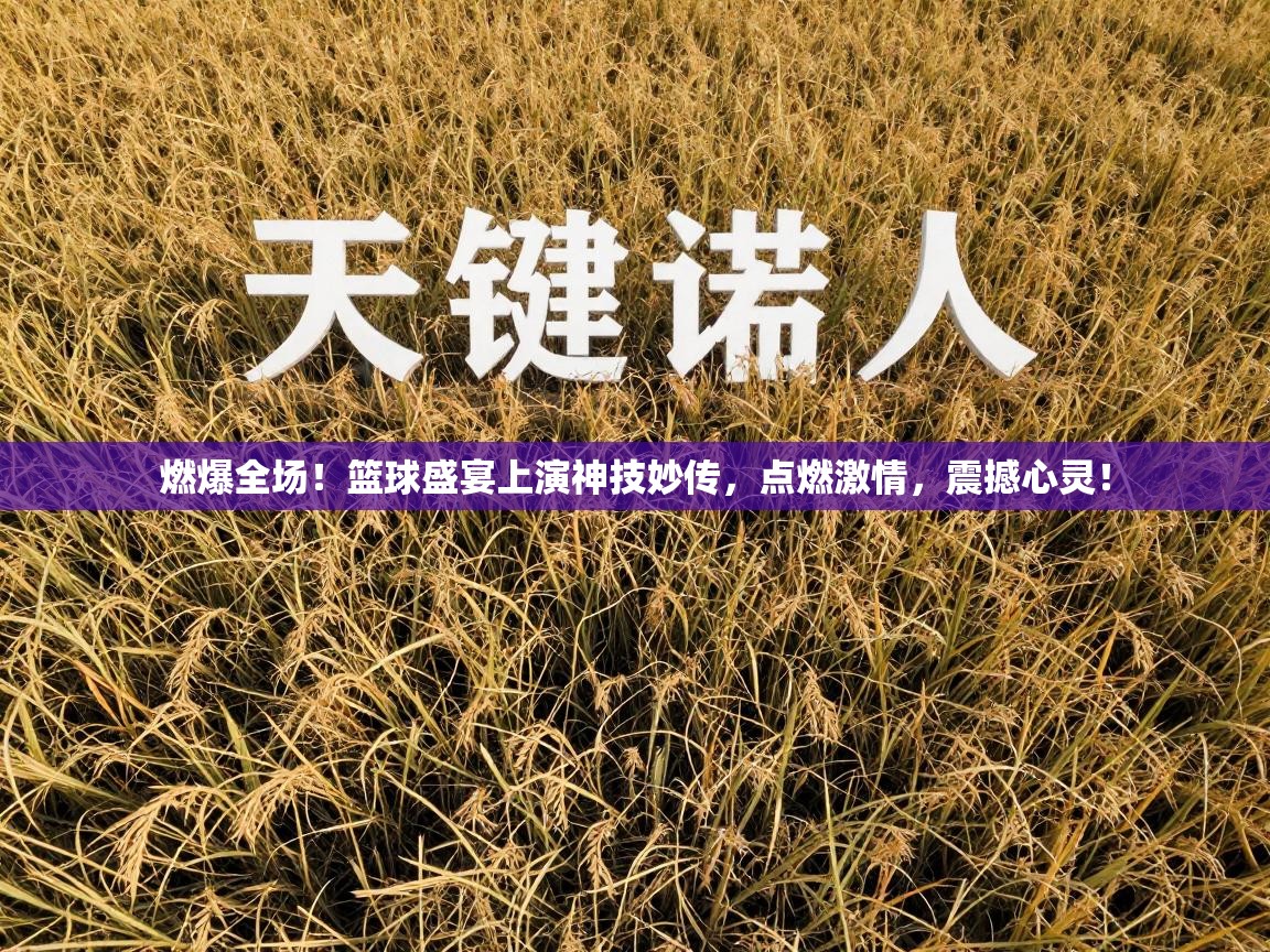 燃爆全场!篮球盛宴上演神技妙传,点燃激情,震撼心灵! 第1张